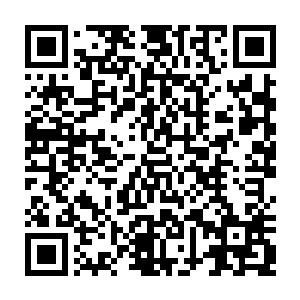 明明能够接近身怀大气运者――这里指的是叶修之――噬灵塔碎片也收集完毕二维码生成