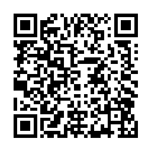 明显是被刚才赤焰疾风血狼王那狂暴的撞击重创了的……二维码生成