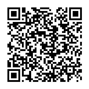 明显没有携带任何武器的游客装扮让他们回过头去就再没半点担心二维码生成