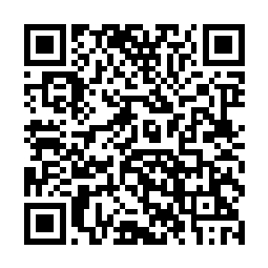 明月你们三个人估计今天晚上肯定会成为宴会的焦点二维码生成