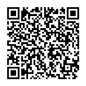 明珠平日被皇后娇惯出的飞扬跋扈的性格在这时候完全的显露出来二维码生成
