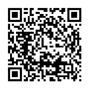 明确写着吸入途径感染是复制肺结核模型的唯一有效方法二维码生成