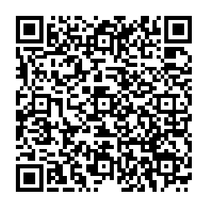 易红仙人的异状让流墨墨他们忍不住的琢磨大魔女折腾出来的动静和卜仙是有什么相干的二维码生成