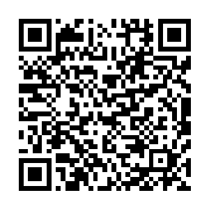 星宫之灵一出现看到眼前璀璨欲滴的仙莲也忍不住吓了一跳二维码生成