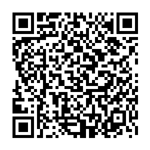 星宿海戡乱会归来的人一旦达到红莲境界就有可能会得到宫主的赏识成为殿主二维码生成