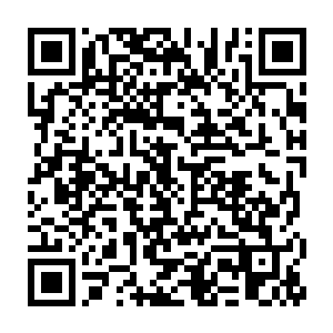 星海中央的权贵和门阀只有在一种时候才会对赤云修仙者和颜悦色二维码生成