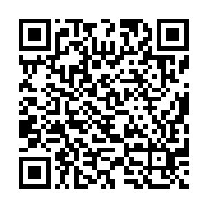 星辰才会在一队阵容里放上一个S1的冠军加上三个新秀二维码生成