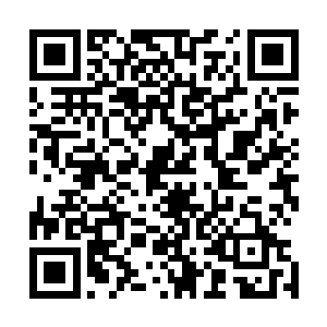 春兰明亮清澈的眼中在提到她口中的主子时满是敬佩和爱慕二维码生成