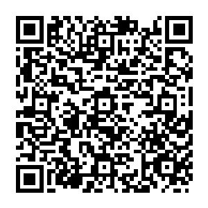春天的时候我的先生彭蠡会带着我们锦江书院的学生去桃花盛开的桃林里去参加酒会二维码生成