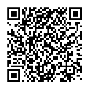 昨夜有锦衣卫的人很不巧的看到戴尚书前去户部尚书王尚书府上拜访了二维码生成