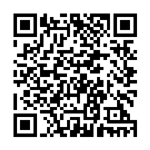 昨天两人在与姒旦交手的时候其实还受了一点震荡的轻伤二维码生成