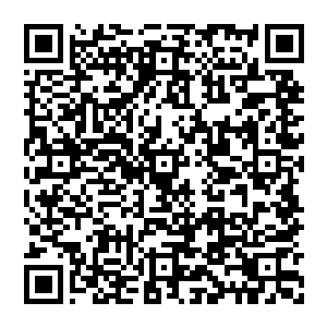 昨天总馆主叫他过去跟他介绍陈凌的时候他还觉得是总馆主太过欣赏这个人因而在言语上有些夸大其词二维码生成