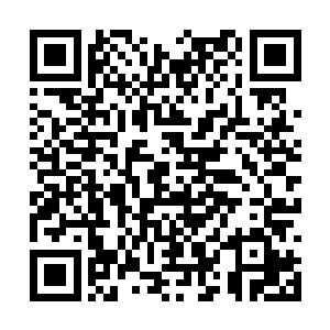 昨天晚上他留下来的吻痕已经不似新樱一样的粉嫩二维码生成