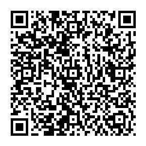 昨天晚上几个学院的院长在一起进行了商量最后决定将剩余的十七个没有被淘汰的选手进行抽签比试二维码生成