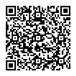 昨天晚上我确实是说打离婚炮庆祝我们离婚……却又没有说打了离婚炮就分道扬镳二维码生成