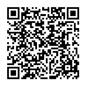 昨天晚上我遭遇守林人时候我又把我背包里的所有食物和水也贡献给了守林人二维码生成