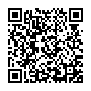 昨天晚上趁着出租车载着我和澹台璃去往下一个目的地的时间段二维码生成