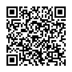 昨天杨眉和卢向东聊到凌晨两点多钟才依依不舍地分开二维码生成