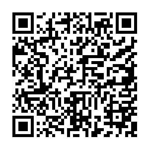 昨天确实看到了五公主的丫鬟小桃红和侍卫王跃去了不夜城巨鲸帮的聚集地二维码生成