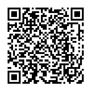 昨日皇帝派出了近身的御前侍卫不曾从法佛寺拿到回绝大师唯一留下的那本经书二维码生成