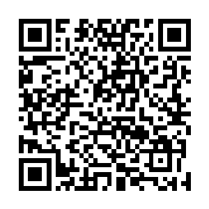 昨晚上自己修炼了一夜可是修为完全没有一星半点的进步二维码生成