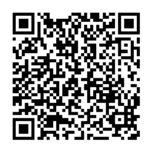 昭华真人感觉自己已经无法容忍杨晨和能量粒子理论再多存在一天了二维码生成