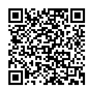 昭南连忙开始指使仨孝给有些日子没见的爸爸表演节目二维码生成