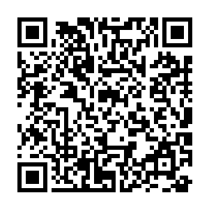 是……一个都没有剩下……全都死了……正如其他被你们族群所灭的族群……二维码生成