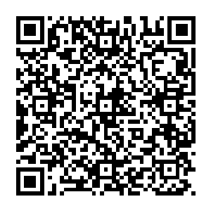 是一个巨大的用岩浆和凝结物构成的卵形硬物连着下面的热土一起覆盖了整个比试场地二维码生成