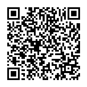 是一位青年贵族的模样――脸色稍微有些苍白蔚蓝的眸子宛如大海二维码生成