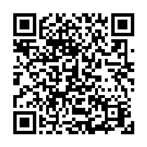 是一张讲述十种极罕见的动物类药材采集加工之法的兽皮卷二维码生成