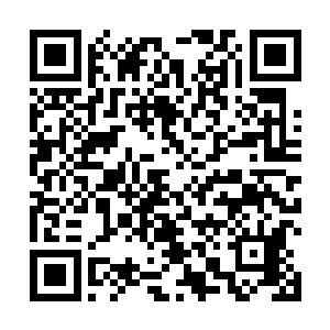是一直蛰伏在我神识海内的轮回之门在关键时刻救了我二维码生成