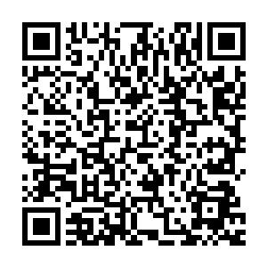 是一种能引起人类和灵长类动物产生埃博拉出血热的烈性传染病病毒二维码生成