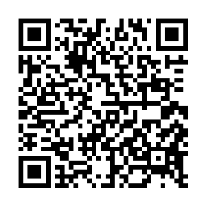 是不是因为上次你想将我霸王硬上弓的时候我没主动献身二维码生成