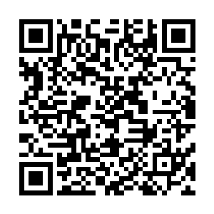 是不是法能指使你们在公审之时说出弘净法师失踪的真相的二维码生成