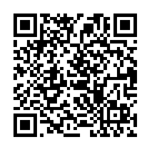 是为了把第一次压在这里的新概念英语第一册全部提走二维码生成