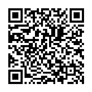 是为了霸王组建的北方联合会才仿照他们的一个会议二维码生成