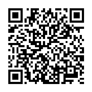 是人接触和认识世界以及自己建立一个完整世界观价值观的过程二维码生成