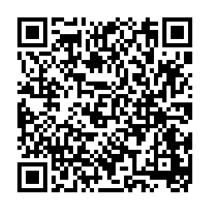是他们的镇长在两年前的时候就从全国聘请来的农业专家秘密栽培养殖的二维码生成