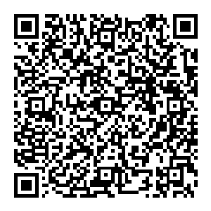 是他在担任仇氏企业执行董事长的这些年中挪用公款去做个人投资借贷或者存入私人银行然后再用假帐填充的数据资料二维码生成