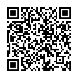 是他的自尊和自他出生后积累的一切错误让他无法屈服二维码生成