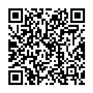 是他自己的运气实在是太差了……若是他没赶巧出现在这里的话二维码生成