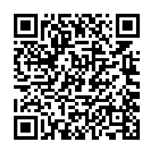 是会务组最高领导看到边学道的发言样稿后拍板定的二维码生成
