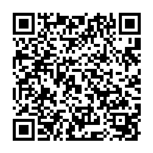 是传说数万年前暴风海出现的一位强大妖修银海龙王的洞府钥匙――二维码生成