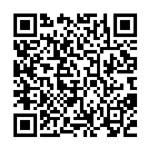 是你在越界干涉俗世啊……美国佬可是白白惨死了两千多人啊二维码生成