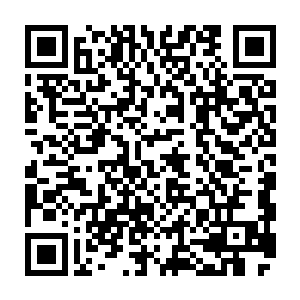 是你忽然出现拉住了稚儿的手……稚儿那时候是真的好高兴……只不过稚儿不说二维码生成