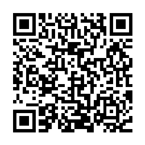 是否也在一定程度上被教条主义与纯粹致敬的感性思维支配着呢二维码生成