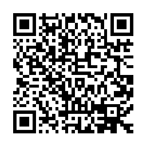 是听你汇报为什么会形成你的选票没有陈观的选票多的事儿的二维码生成