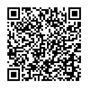 是呀高考办改卷组的刘主任已经反复查看过林烽语文试卷的每一道题二维码生成