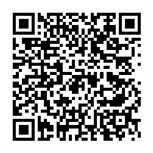 是命运的残忍让我们不得已在经历无数坎坷之后才明白最浅显的道理二维码生成